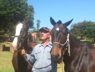 Freiwilligenarbeit Südafrika Pferdeprojekt