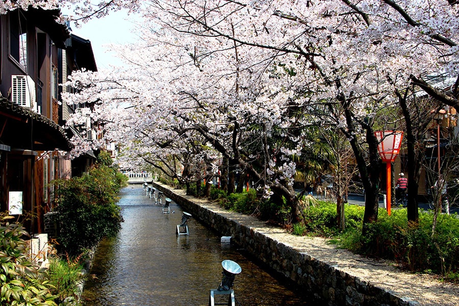 Japanischkurs mit Kultur in Kyoto Japan 